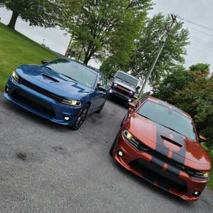 Meet your Posher, William